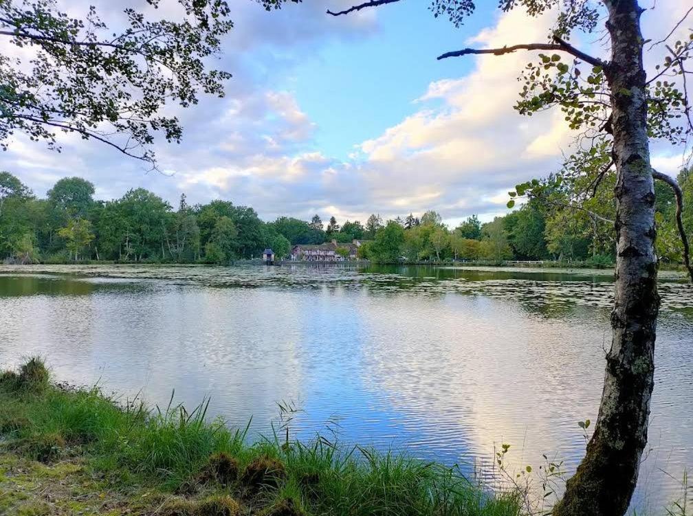 Hotel - Restaurant Le Moulin De Villiers Nouan-le-Fuzelier Eksteriør billede